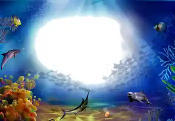 Fotoeffekt fra kategori Sommer № 142470