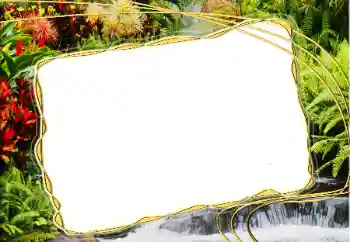 Fotoeffekt fra kategori Sommer № 14917