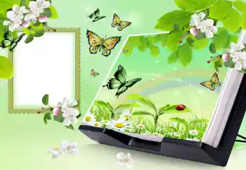 Fotoeffekt fra kategori Sommer № 150647