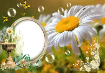 Fotoeffekt fra kategori Sommer № 153157