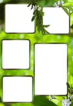 Fotoeffekt fra kategori Sommer № 153242