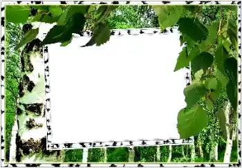 Fotoeffekt fra kategori Sommer № 154334