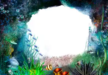 Fotoeffekt fra kategori Sommer № 155944