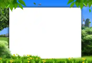 Fotoeffekt fra kategori Sommer № 158421