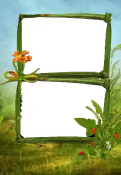 Fotoeffekt fra kategori Sommer № 160630