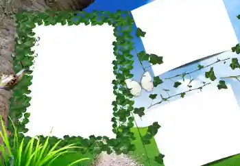 Fotoeffekt fra kategori Sommer № 160662