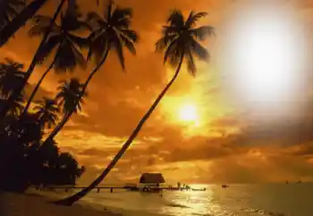 Fotoeffekt fra kategori Sommer № 164793