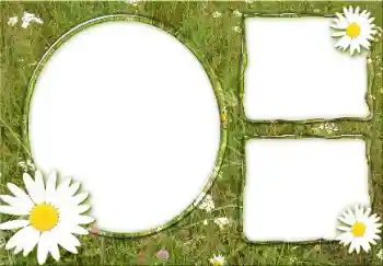 Fotoeffekt fra kategori Sommer № 166475