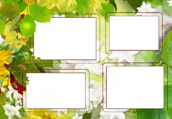 Fotoeffekt fra kategori Sommer № 167757