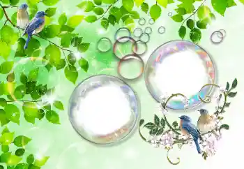 Fotoeffekt fra kategori Sommer № 167832