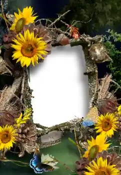 Fotoeffekt fra kategori Sommer № 167902