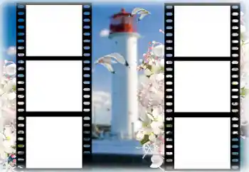 Fotoeffekt fra kategori Sommer № 167969