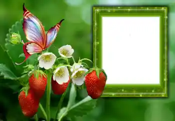 Fotoeffekt fra kategori Sommer № 168002