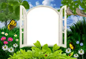 Fotoeffekt fra kategori Sommer № 16945