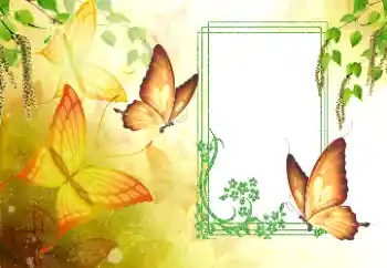 Fotoeffekt fra kategori Sommer № 179561