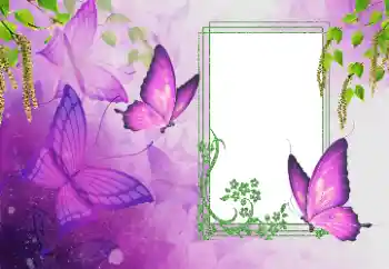 Fotoeffekt fra kategori Sommer № 179562