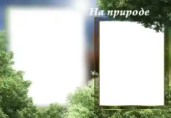 Innskriften på rammen: On the nature