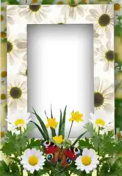 Fotoeffekt fra kategori Sommer № 19247