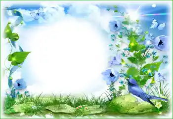 Fotoeffekt fra kategori Sommer № 198825