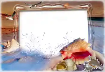 Fotoeffekt fra kategori Sommer № 198832