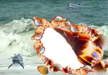 Fotoeffekt fra kategori Sommer № 20185