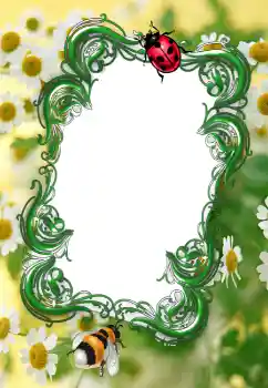 Fotoeffekt fra kategori Sommer № 2253