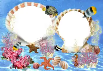 Fotoeffekt fra kategori Sommer № 23210