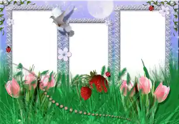 Fotoeffekt fra kategori Sommer № 2396