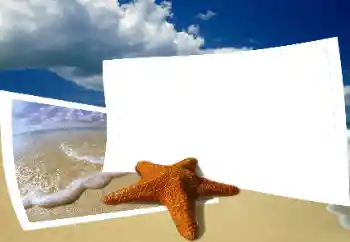 Fotoeffekt fra kategori Sommer № 25435