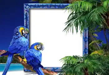 Fotoeffekt fra kategori Sommer № 26552