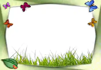 Fotoeffekt fra kategori Sommer № 2756