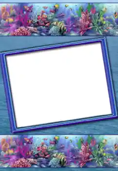 Fotoeffekt fra kategori Sommer № 31794