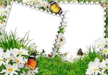 Fotoeffekt fra kategori Sommer № 31861