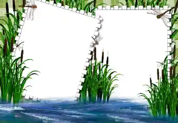 Fotoeffekt fra kategori Sommer № 31862