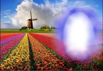 Fotoeffekt fra kategori Sommer № 36251