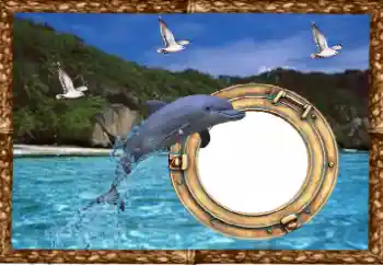 Fotoeffekt fra kategori Sommer № 38477