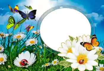 Fotoeffekt fra kategori Sommer № 40377