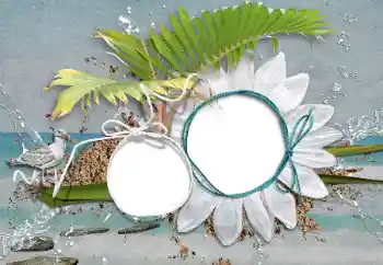 Fotoeffekt fra kategori Sommer № 47208