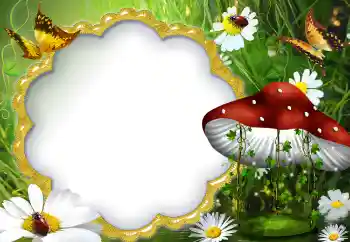 Fotoeffekt fra kategori Sommer № 5072