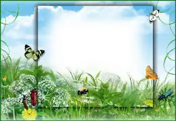 Fotoeffekt fra kategori Sommer № 50891