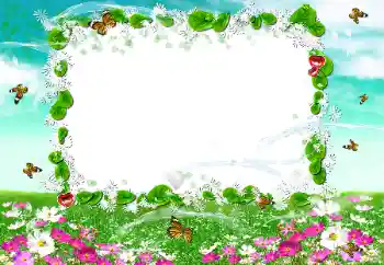 Fotoeffekt fra kategori Sommer № 50894