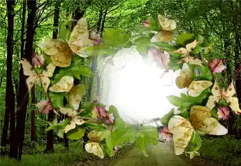 Fotoeffekt fra kategori Sommer № 5287