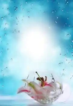 Fotoeffekt fra kategori Sommer № 64487