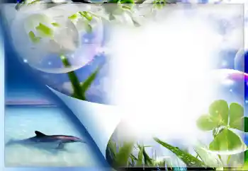 Fotoeffekt fra kategori Sommer № 67330