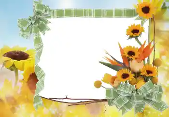 Fotoeffekt fra kategori Sommer № 68445