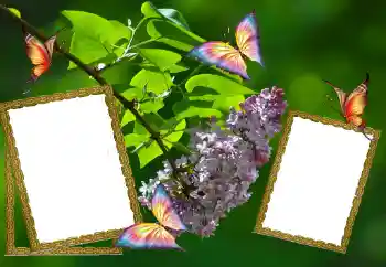 Fotoeffekt fra kategori Sommer № 81627