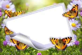 Fotoeffekt fra kategori Sommer № 83943