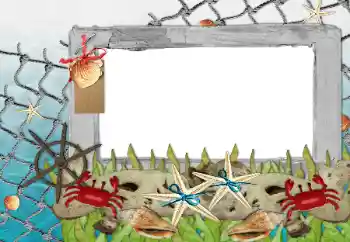 Fotoeffekt fra kategori Sommer № 85339