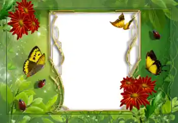 Fotoeffekt fra kategori Sommer № 8625