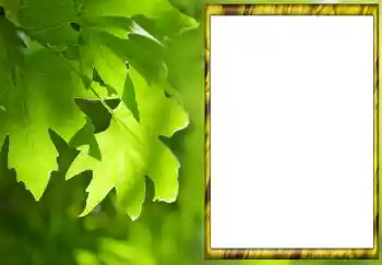 Fotoeffekt fra kategori Sommer № 88033 Fotoeffekt fra kategori Sommer № 88033